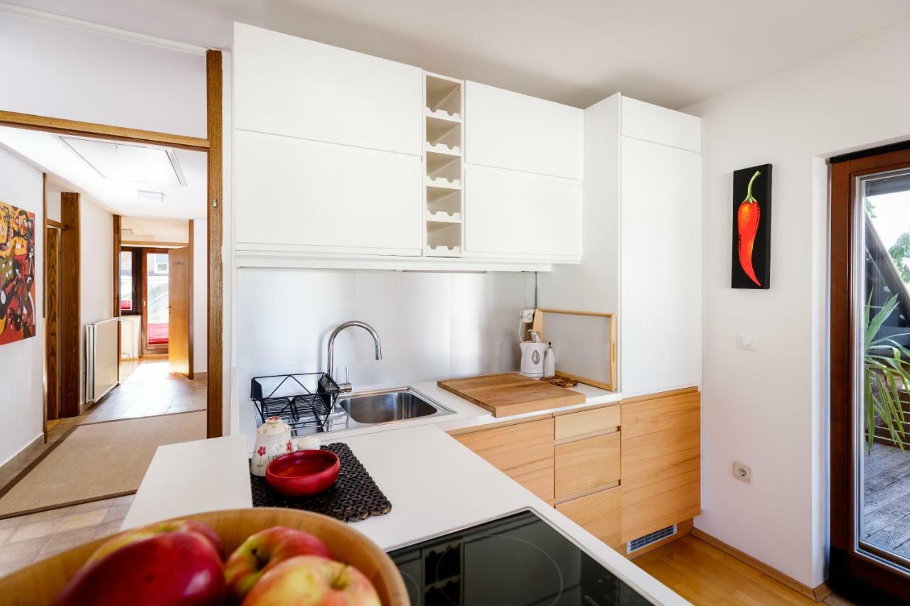 Cosy & Spacious Apt. Benc Zirovnica Eksteriør bilde